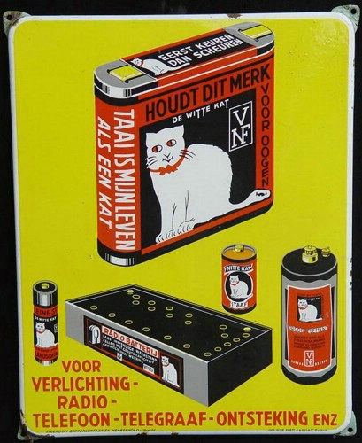 witte kat.JPG
