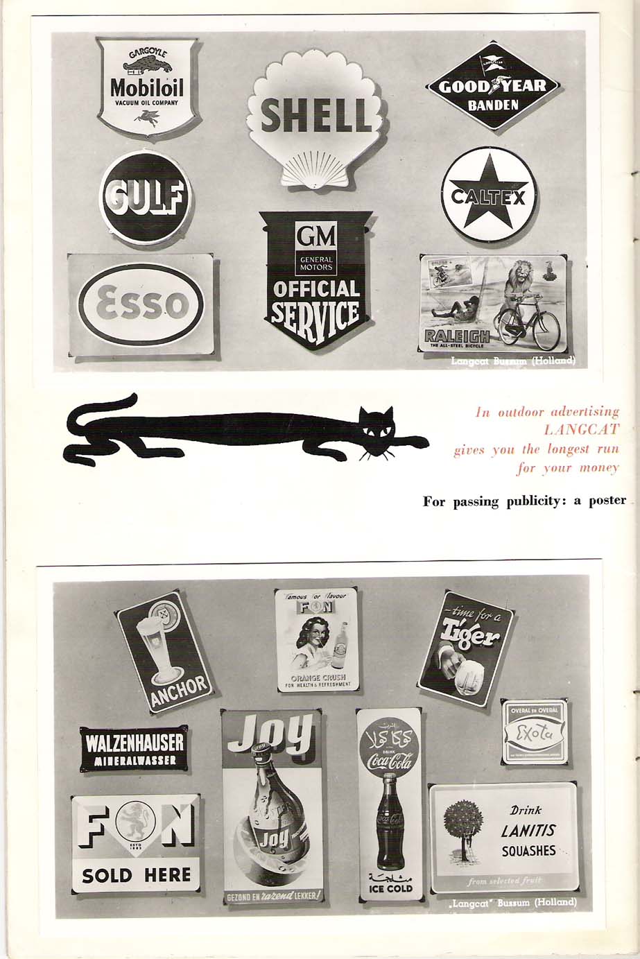 Short story of long cat (12).jpg