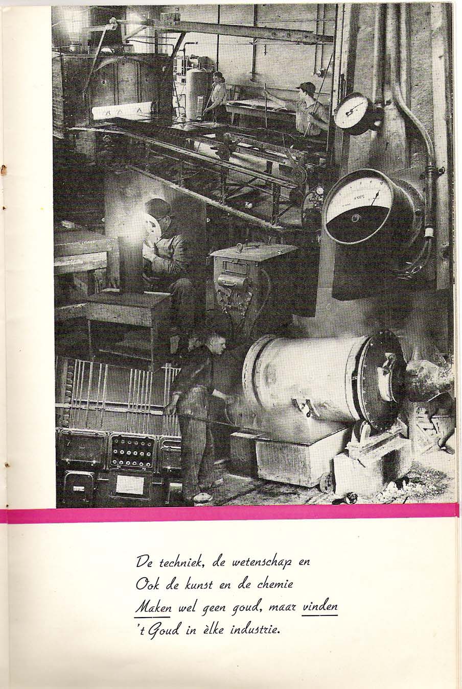 ter leering (12).jpg
