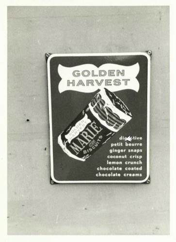 golden harvest.jpg