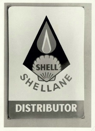 shellane.jpg