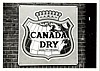 canada dry.jpg
